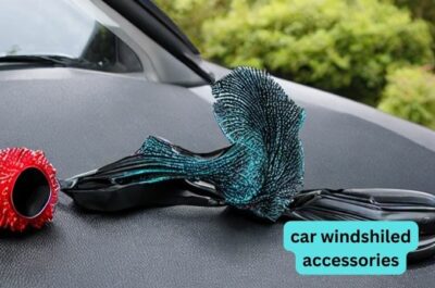 5 Ways to Make Use of car windshiled accessories