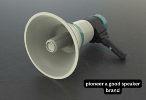 pioneer a good speaker brand