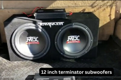 12 inch terminator subwoofers